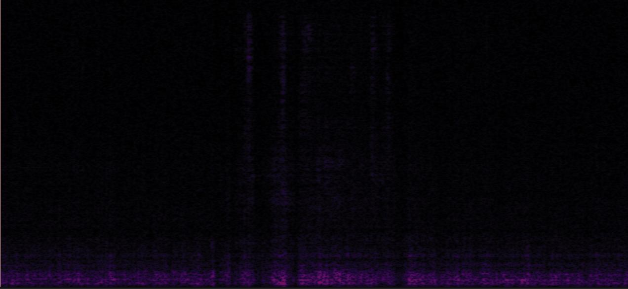 Sample 1 Image