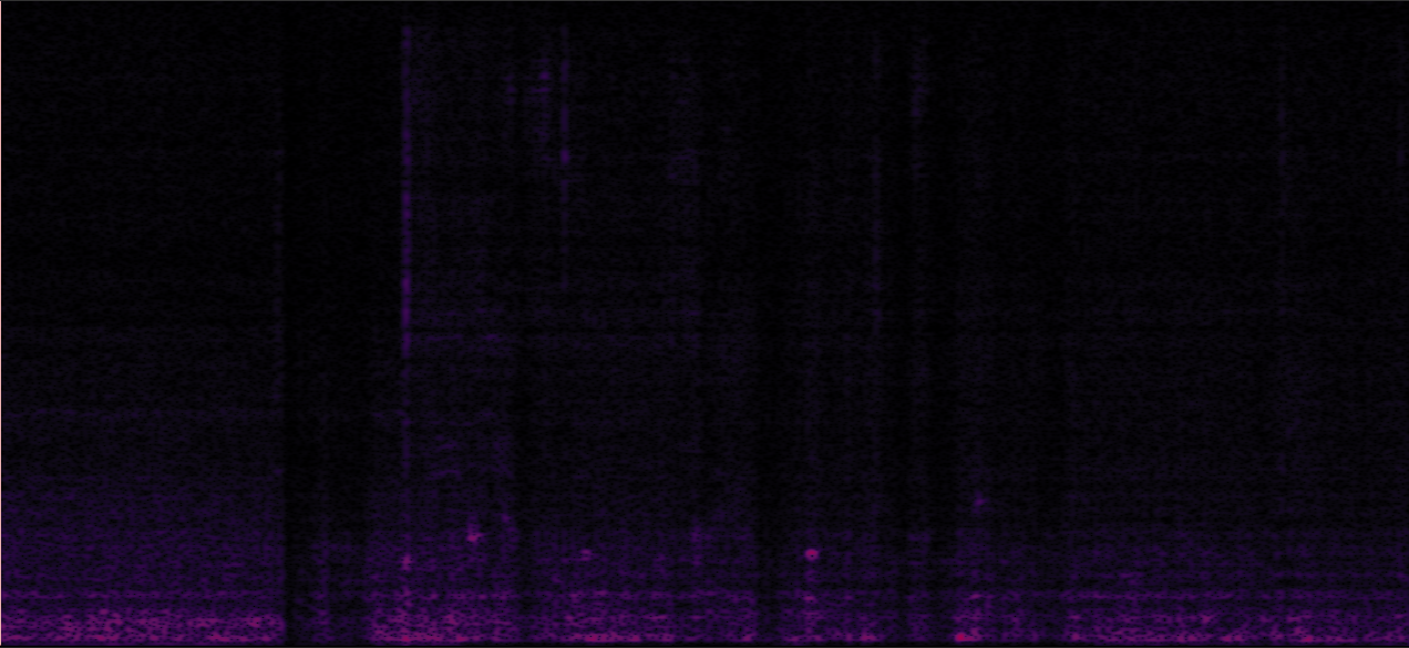 Sample 1 Image