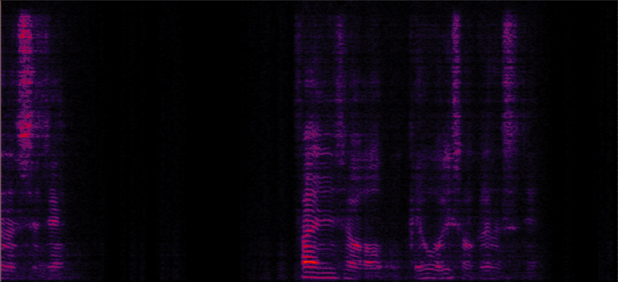 Sample 1 Image