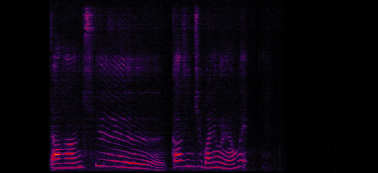 Sample 4 Image