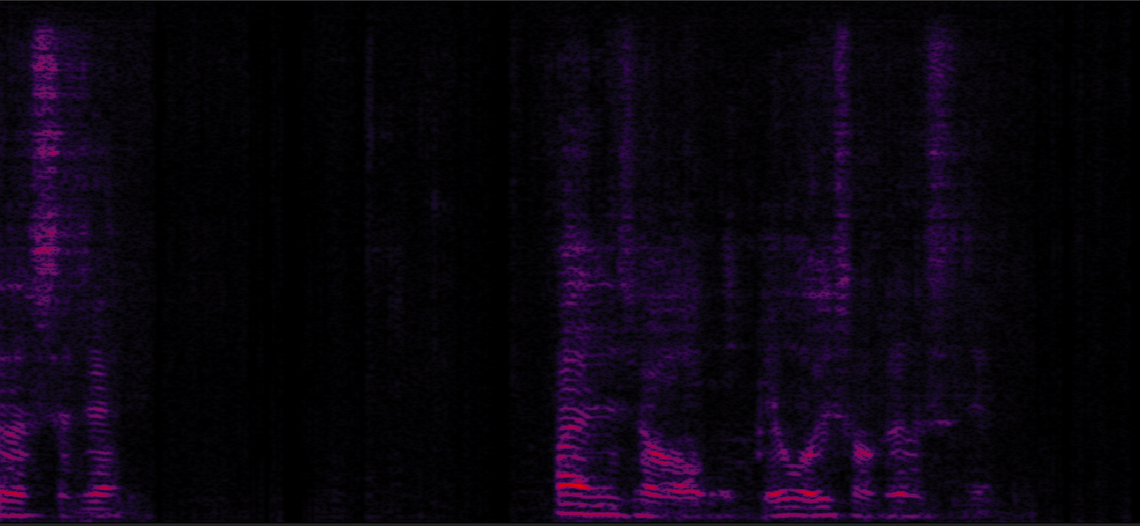 Sample 1 Image