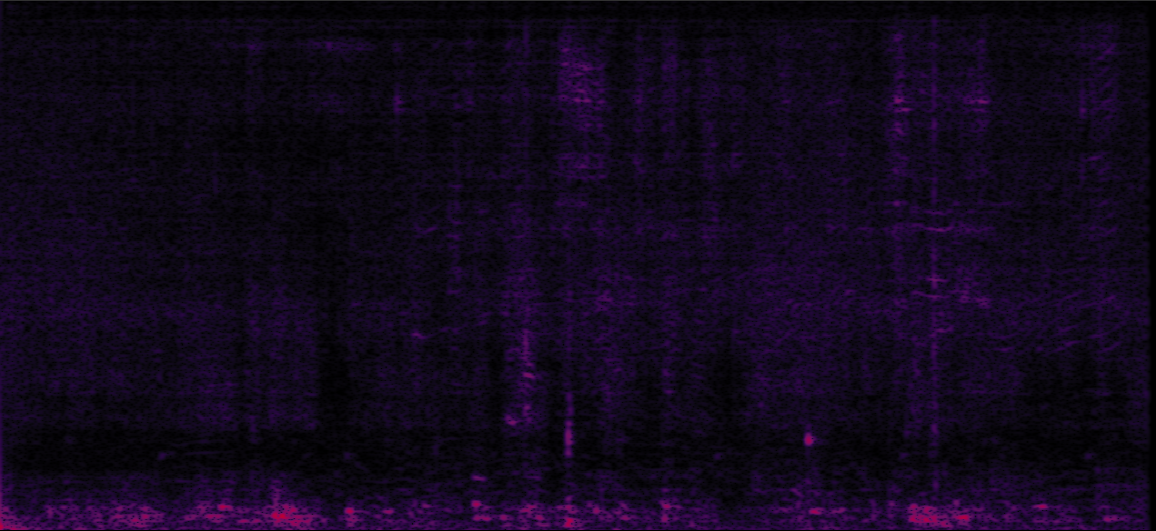 Sample 1 Image