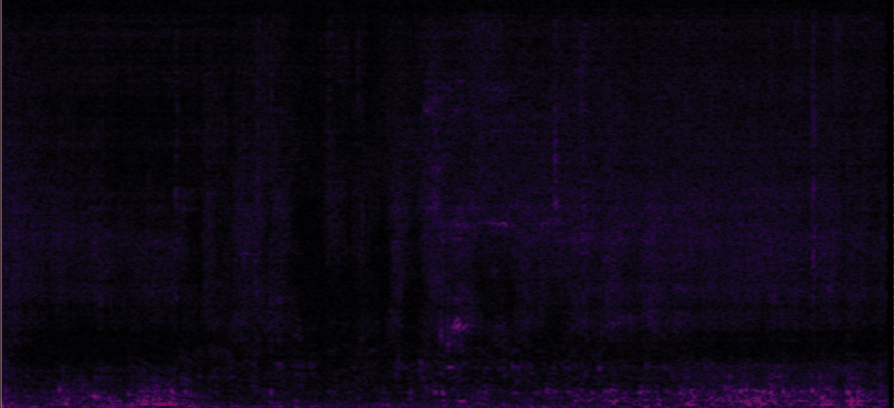 Sample 1 Image