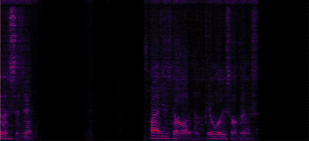 Sample 1 Image