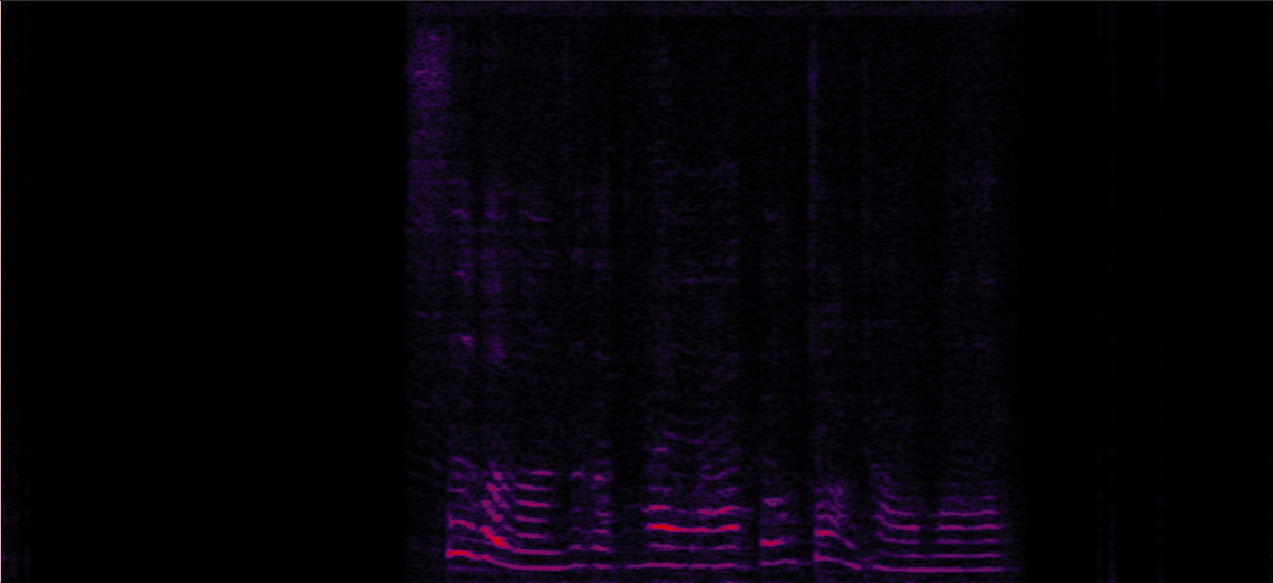 Sample 3 Image
