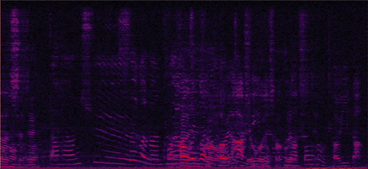 Sample 1 Image