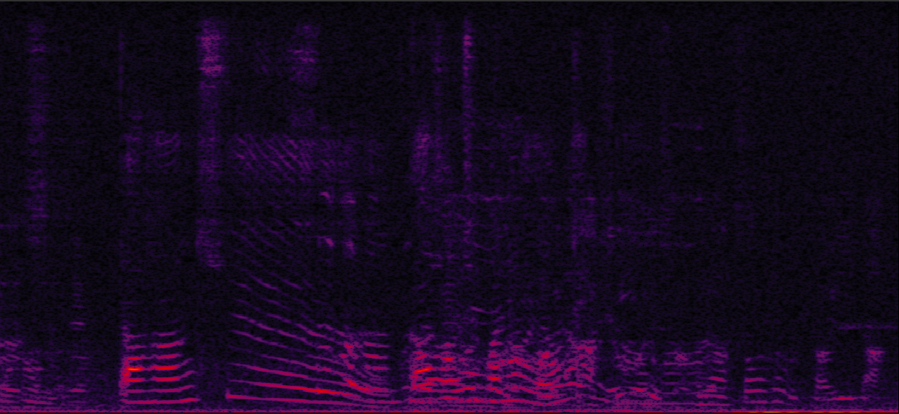 Sample 4 Image