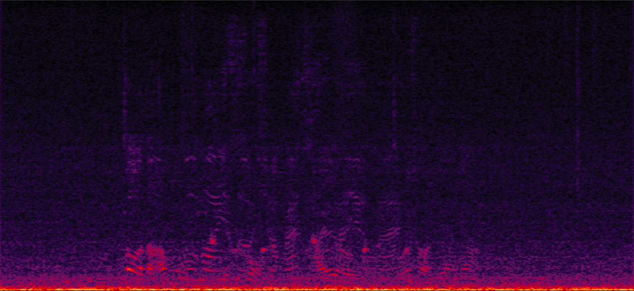 Sample 1 Image