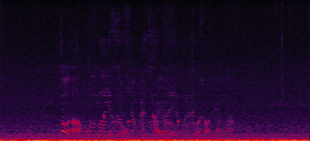 Sample 2 Image