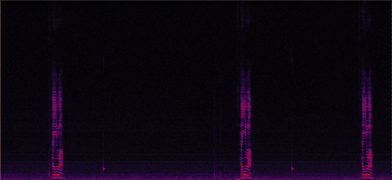 Sample 2 Image
