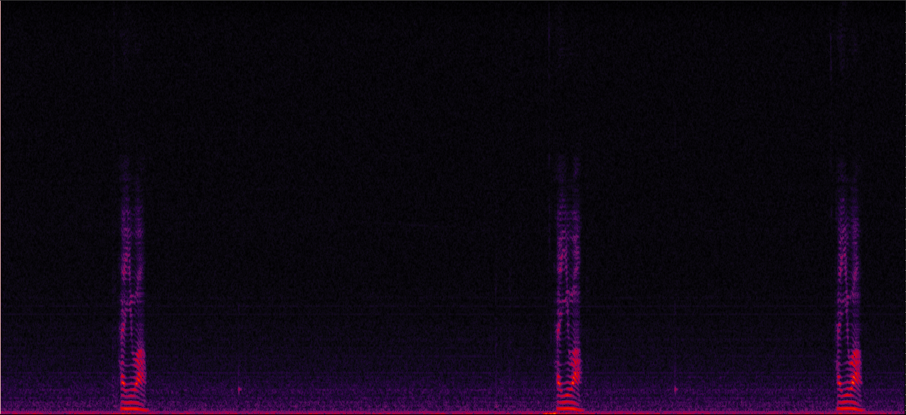 Sample 3 Image